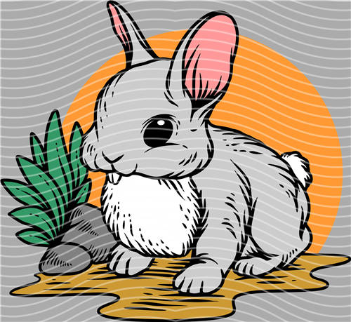 Street design-JT 4437